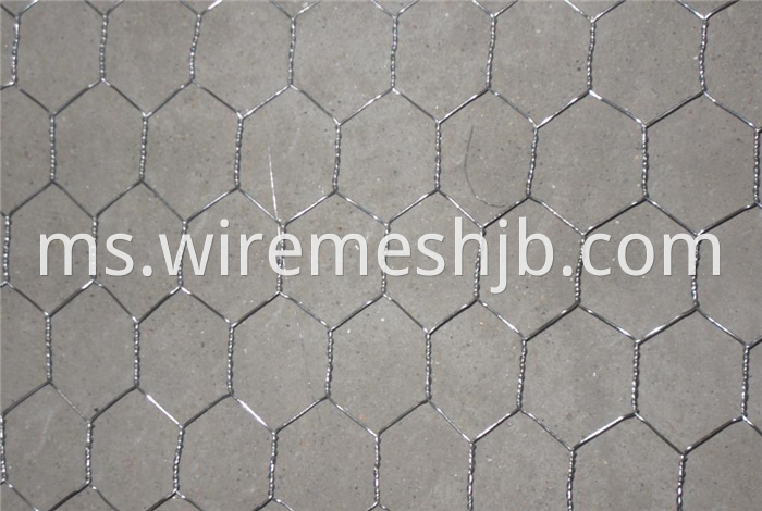 1'' Hexagonal Wire Netting